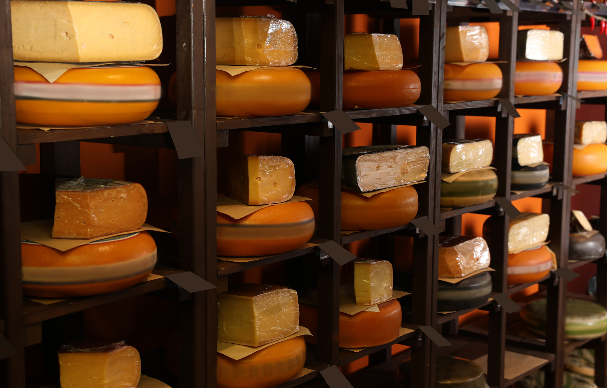 Wheels of cheese ageing on timber racks in a cellar.