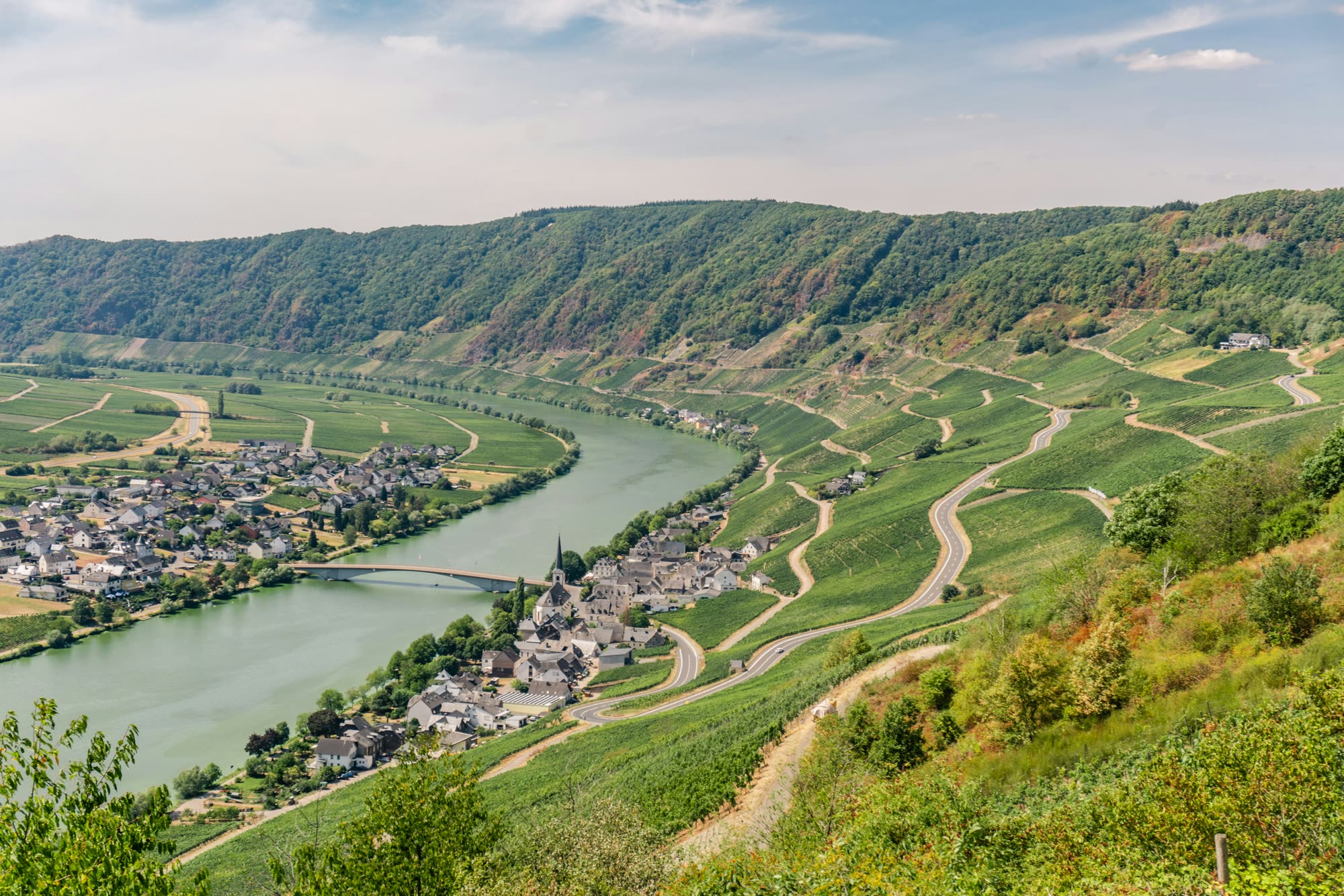 Terraced vineyards and a village on a wide bend of a river below wooded hills.